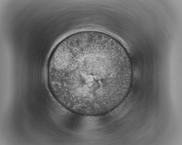 X0000112941514200909141337