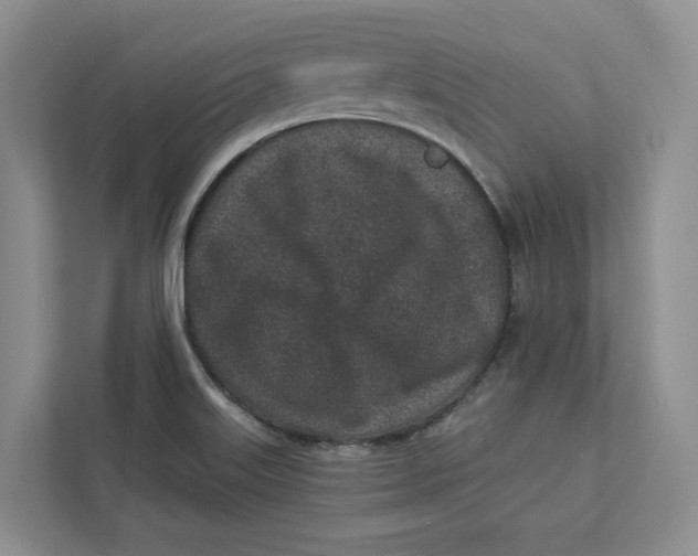 X0000112941515200909141337