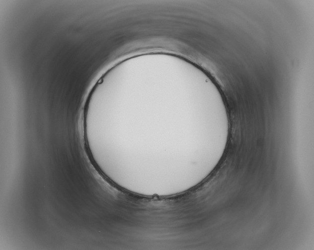 X0000112941516200909141337