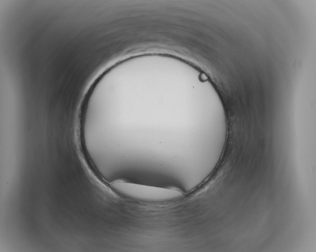 X0000112941518200909141337