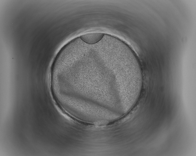 X0000112941519200909141337