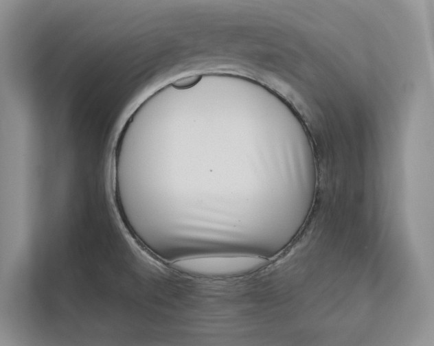 X0000112941520200909141337