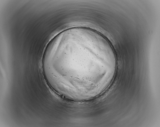 X0000112941521200909141337