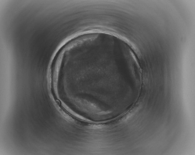 X0000112941522200909141337