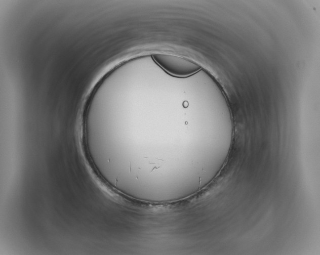 X0000112941523200909141337