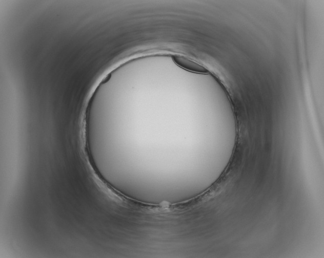 X0000112941524200909141337