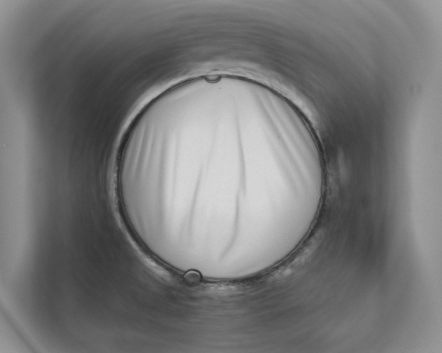 X0000112941525200909141337