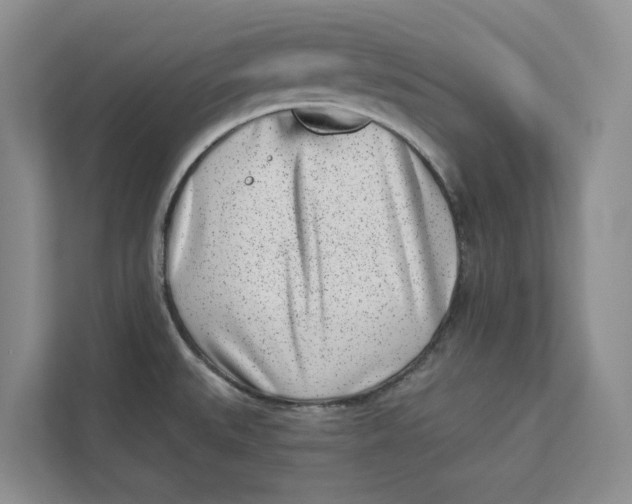 X0000112941527200909141337