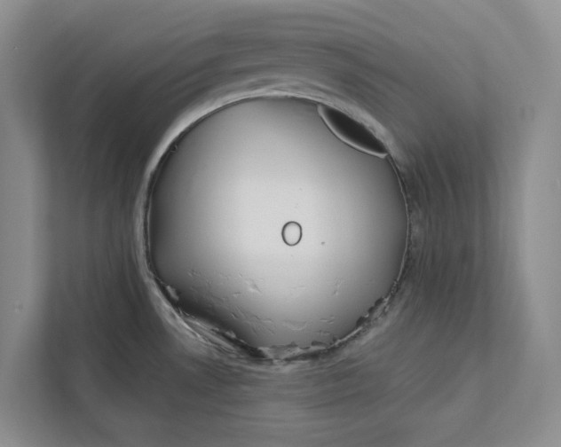 X0000112941530200909141337