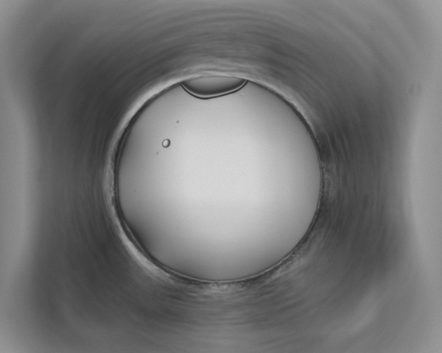 X0000112941531200909141337