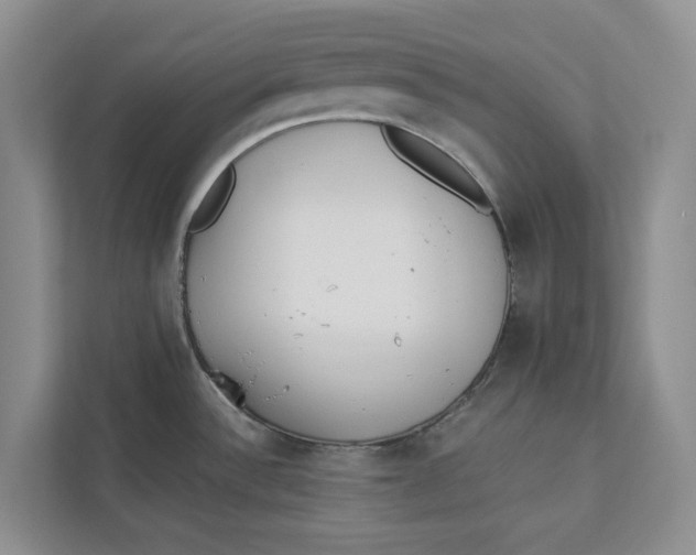 X0000112941532200909141337