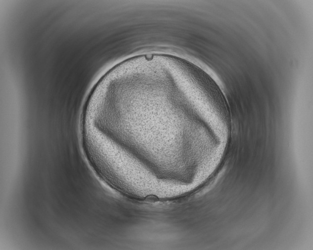 X0000112941533200909141337