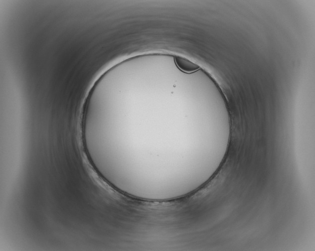 X0000112941534200909141337