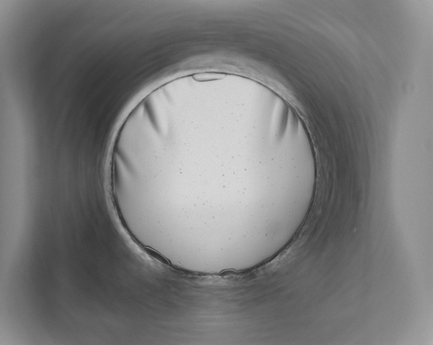 X0000112941536200909141337