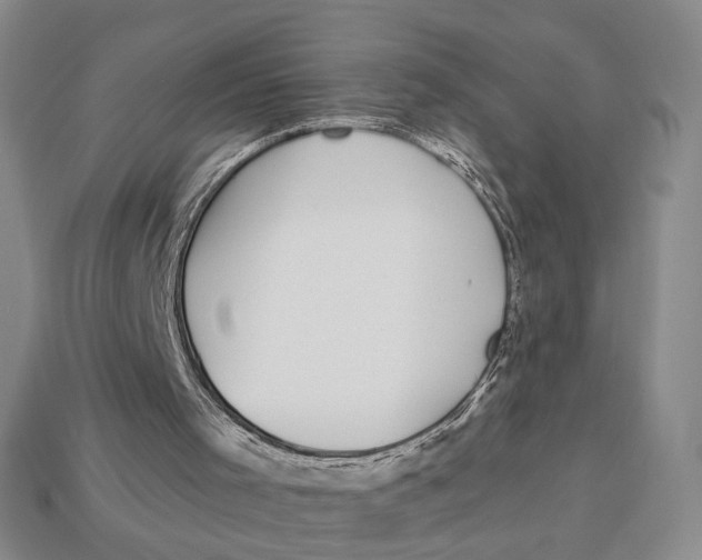 X0000112940001200909211143