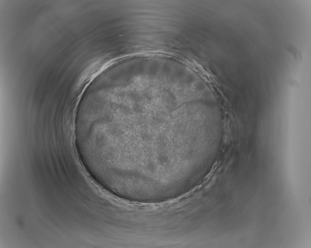X0000112940002200909211143