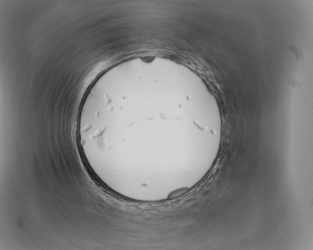 X0000112940003200909211143