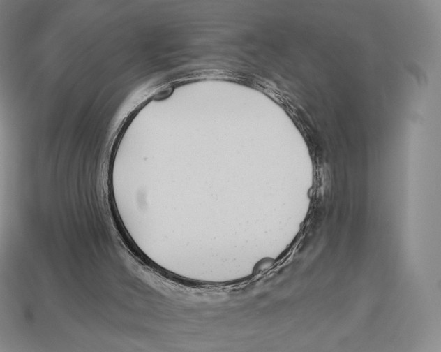 X0000112940004200909211143