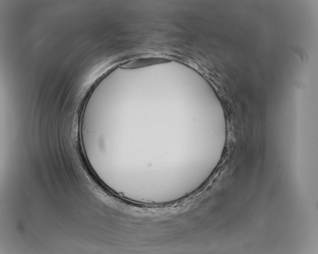 X0000112940005200909211143