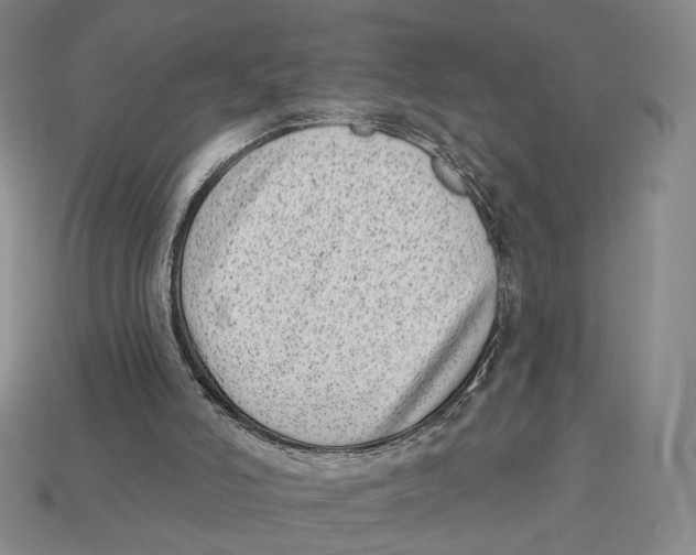 X0000112940006200909211143