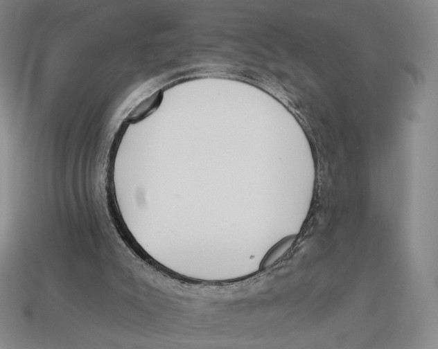 X0000112940007200909211143