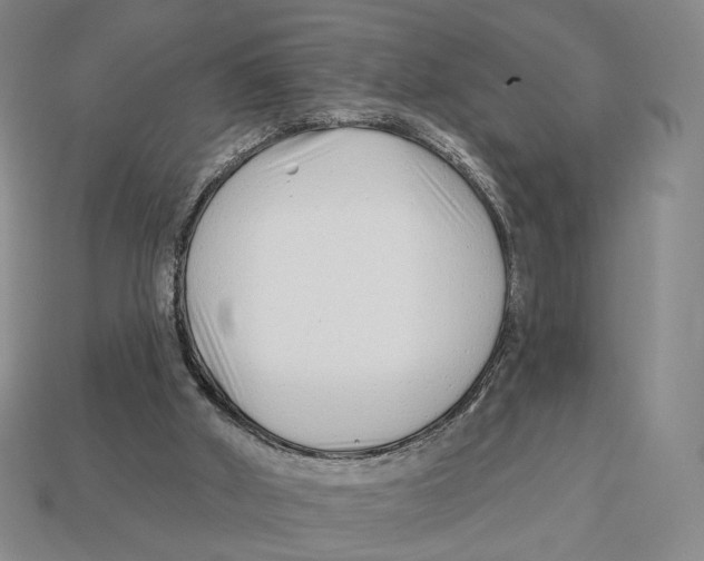 X0000112940010200909211143
