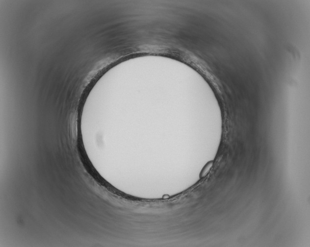 X0000112940011200909211143