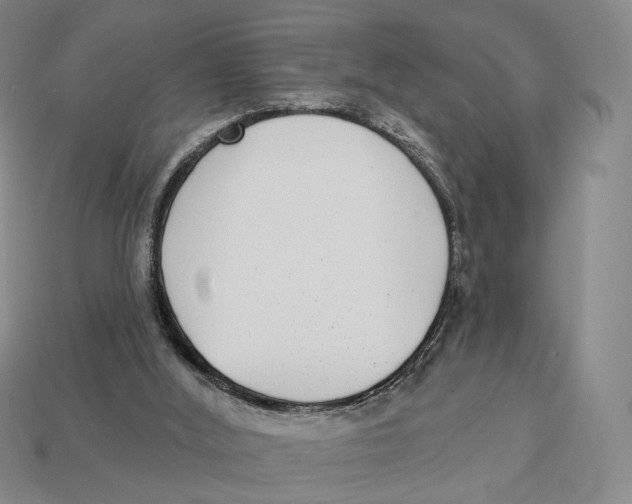 X0000112940012200909211143