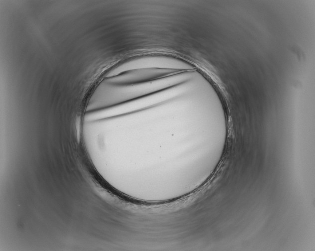 X0000112940013200909211143