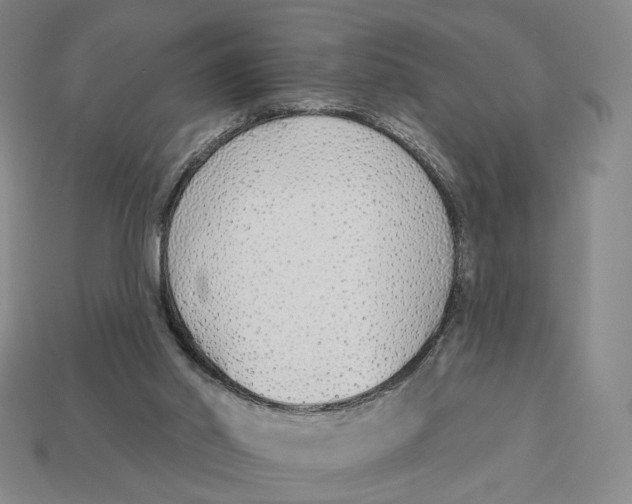 X0000112940014200909211143
