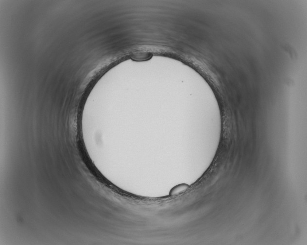 X0000112940015200909211143