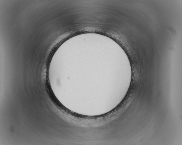X0000112940016200909211143