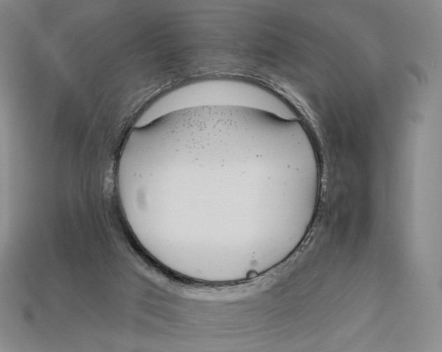 X0000112940017200909211143