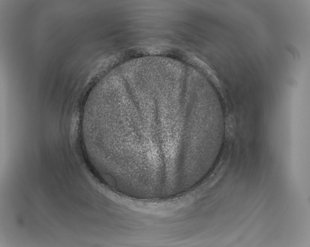 X0000112940018200909211143