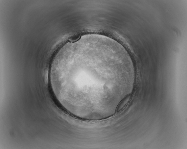 X0000112940019200909211143
