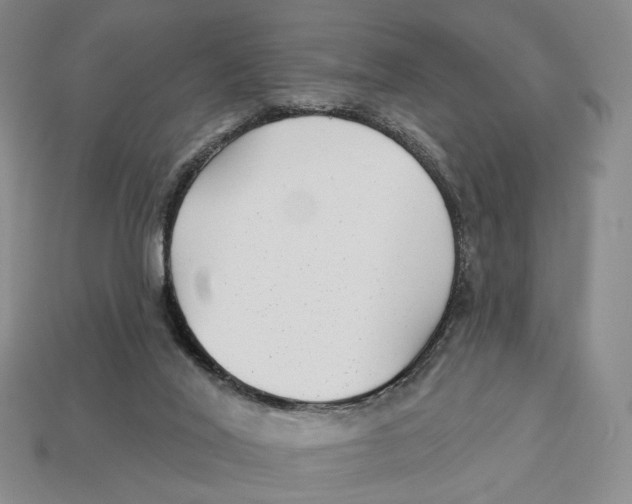 X0000112940020200909211143