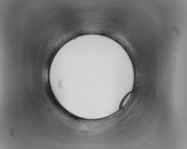 X0000112940021200909211143