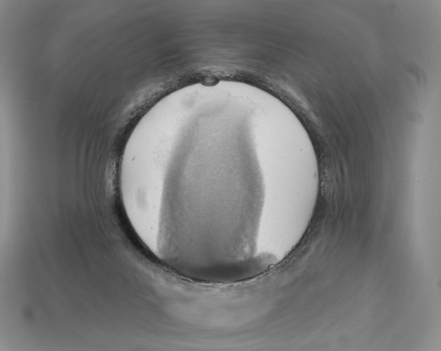 X0000112940023200909211143