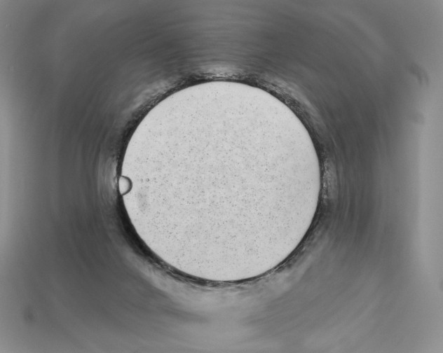 X0000112940024200909211143
