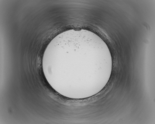 X0000112940025200909211143