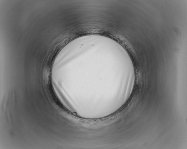 X0000112940026200909211143