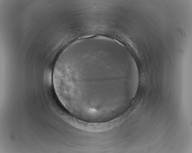X0000112940027200909211143