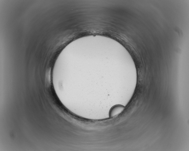 X0000112940028200909211143