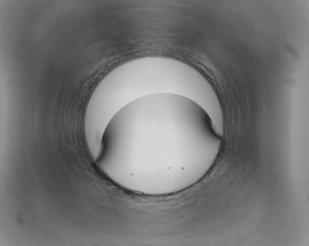 X0000112940029200909211143