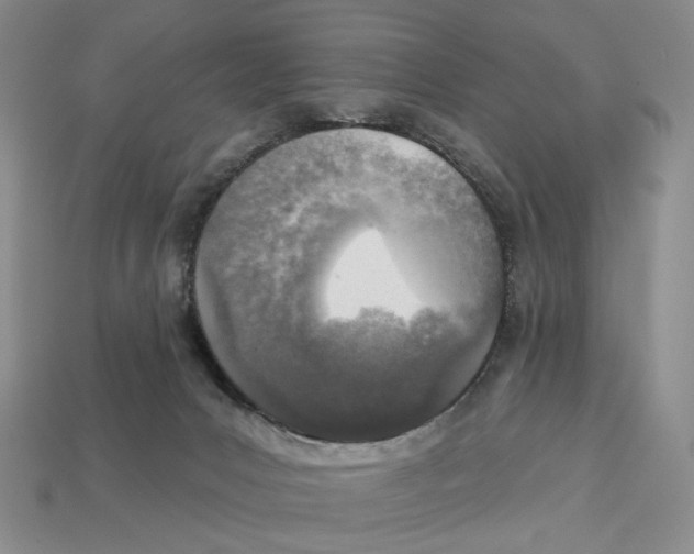X0000112940031200909211143