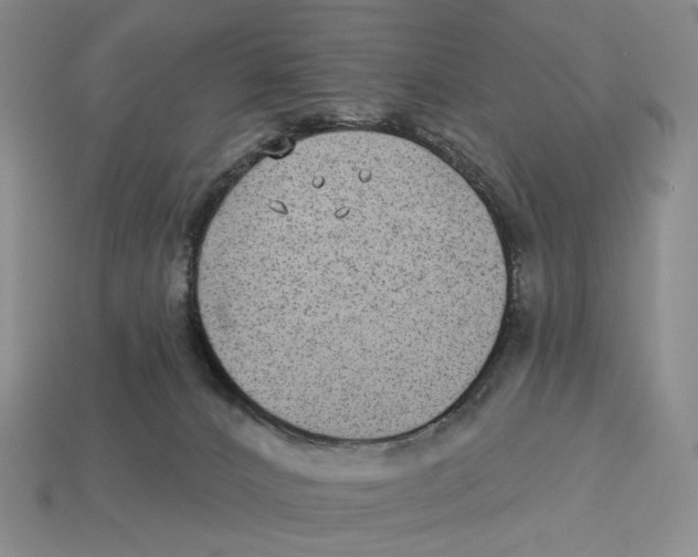 X0000112940032200909211143