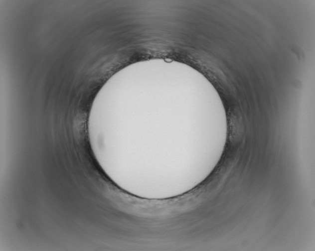 X0000112940034200909211143