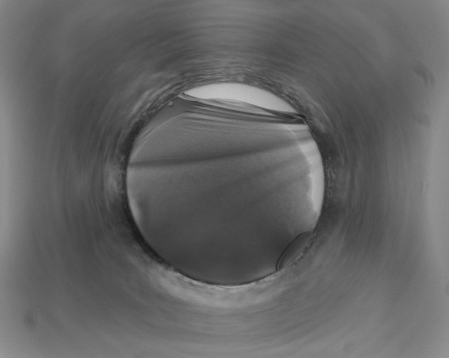 X0000112940035200909211143