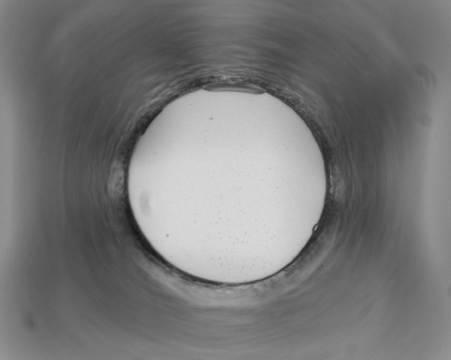 X0000112940036200909211143