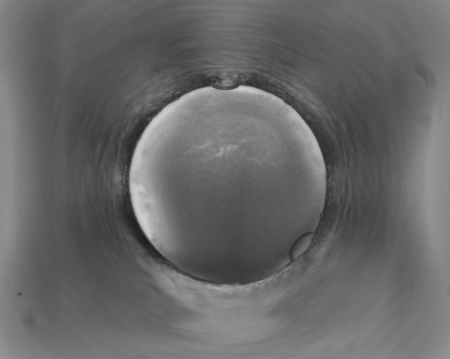 X0000112940039200909211143